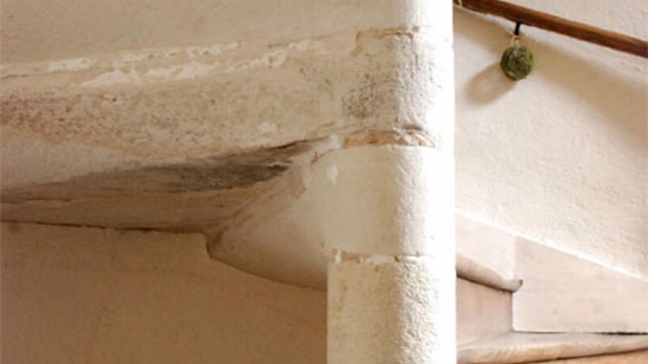 Photo of Others in Autun