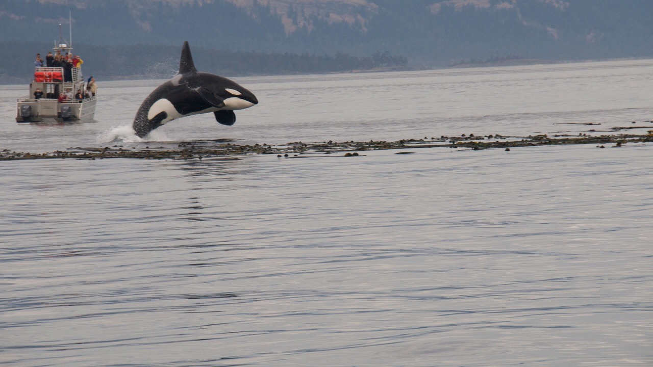 Photo of Others in Eastsound