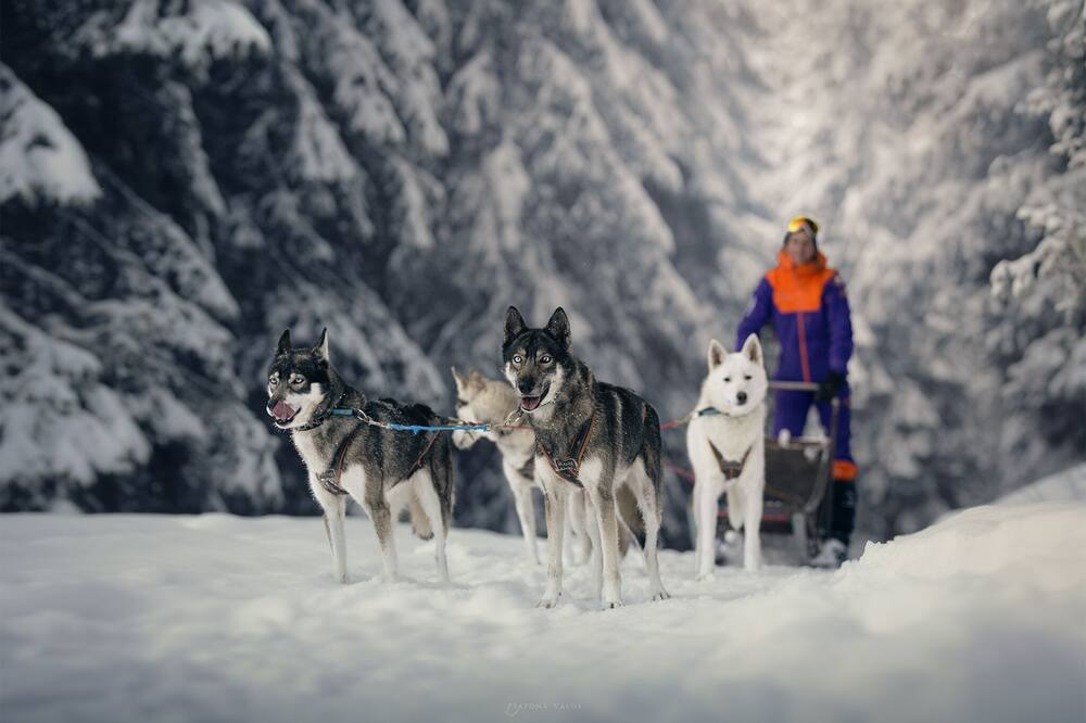 Photo of Others in Morgins