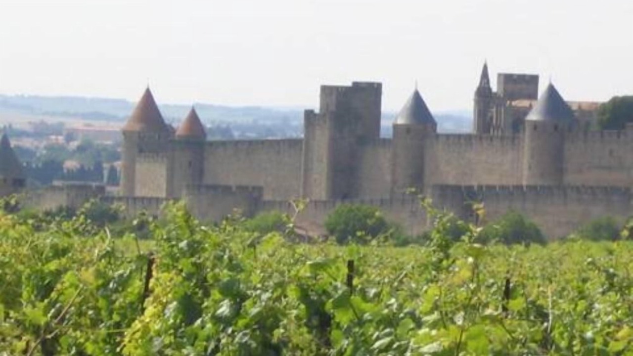 Photo of Outdoor in Bastide Saint-Louis