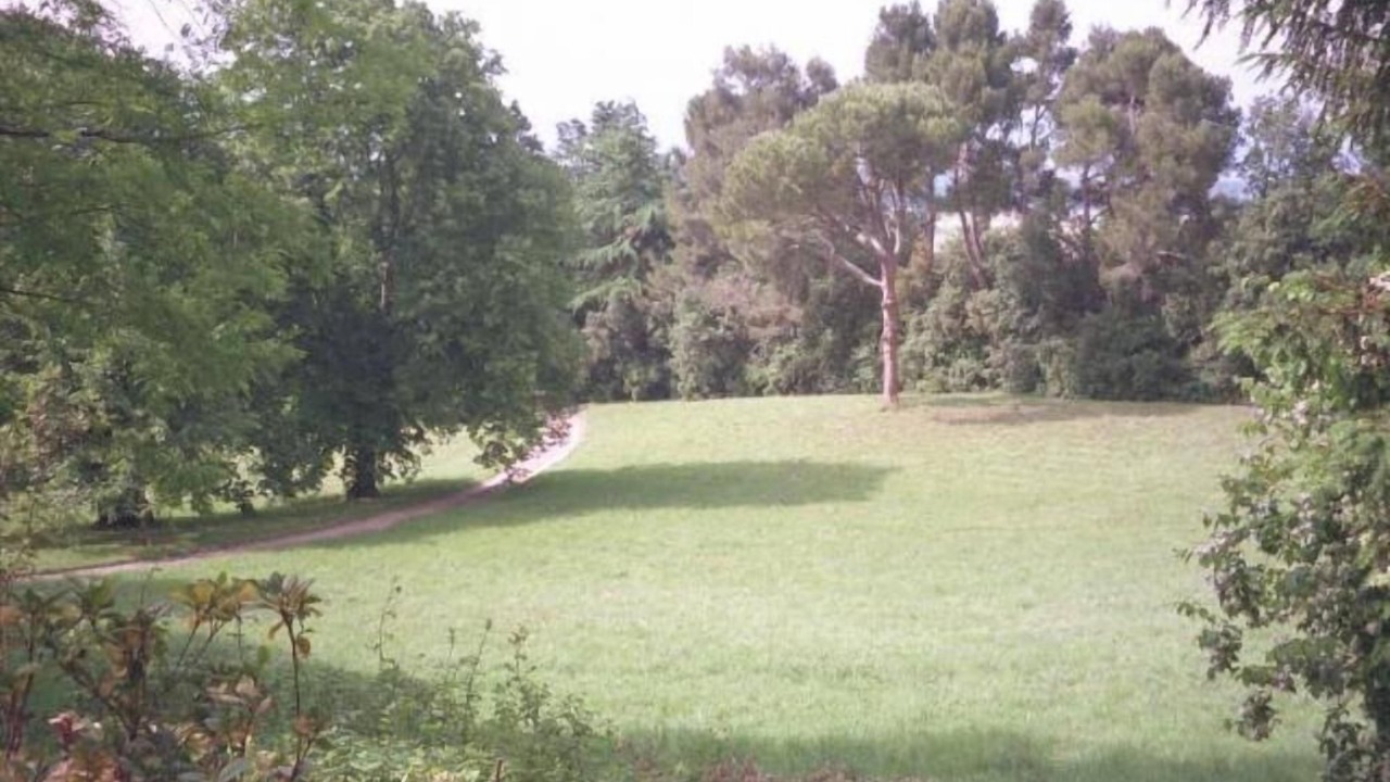 Photo of Others in Bastide Saint-Louis