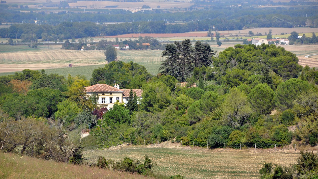 Photo of Outdoor in Bastide Saint-Louis