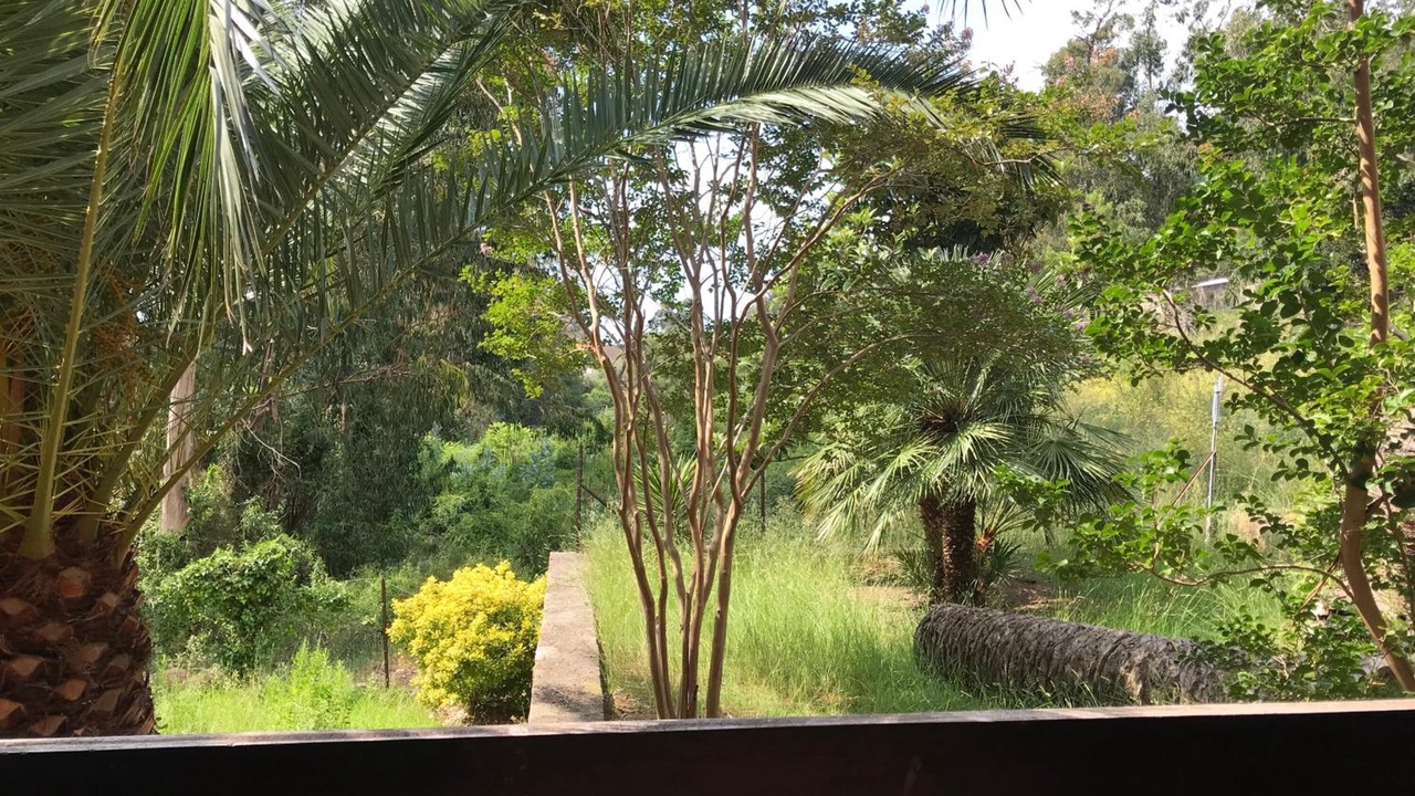 Photo of Patio Balcony in Porto