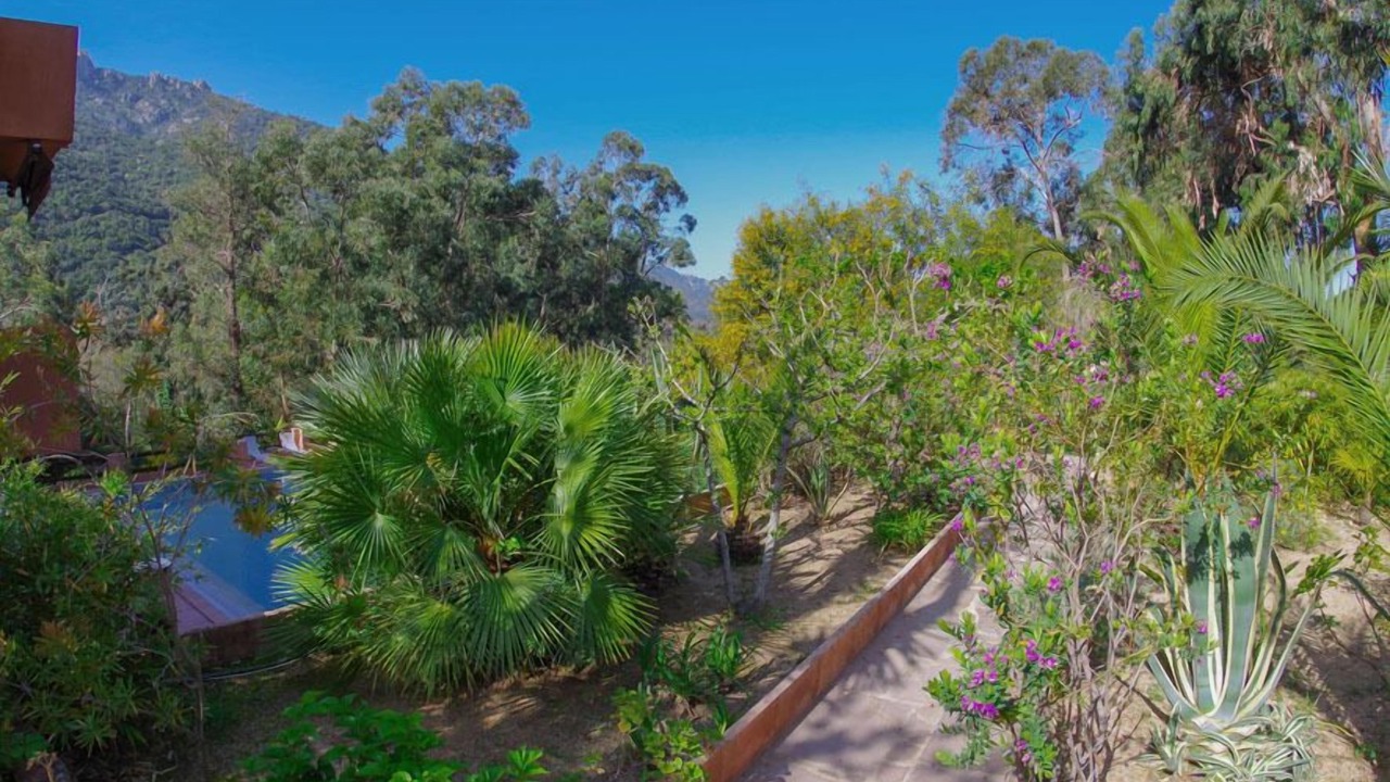 Photo of Outdoor in Porto