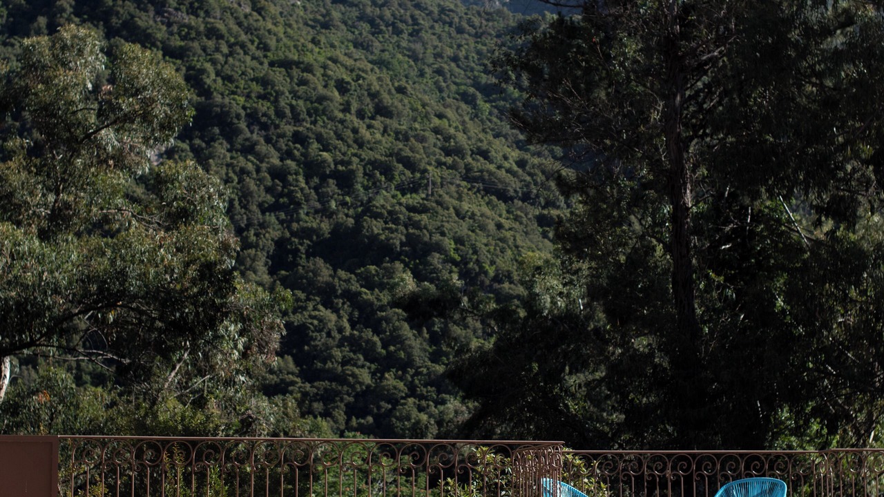 Photo of Others in Porto