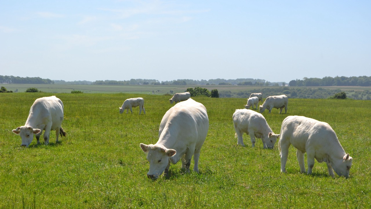 Photo of Outdoor in Paluel