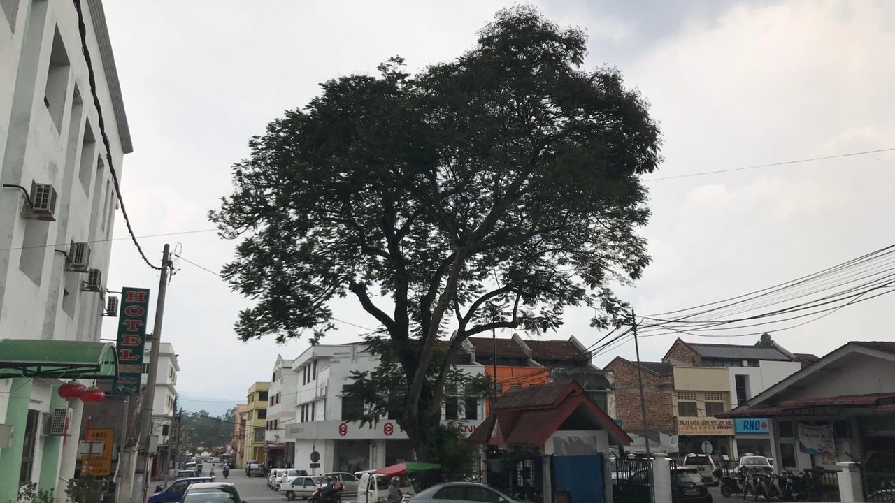 Photo of Outdoor in Kampung Kuala Parit