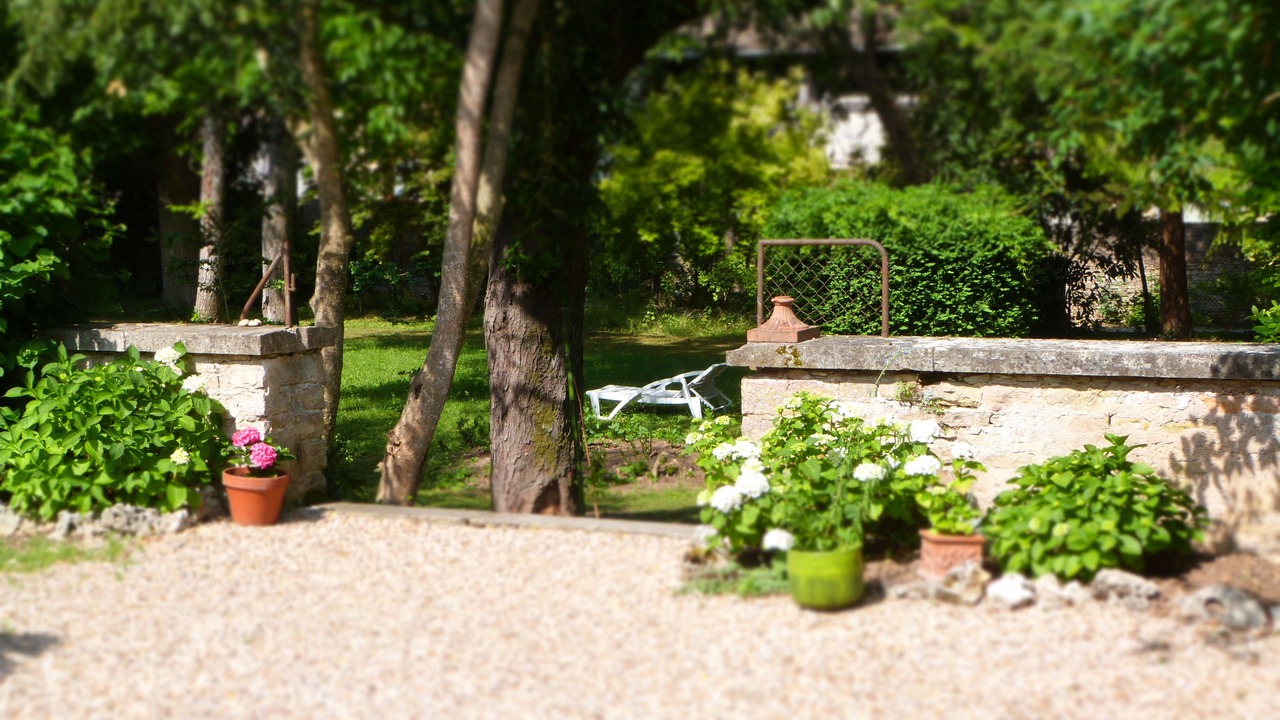 Photo of Outdoor in Savigny-les-Beaune
