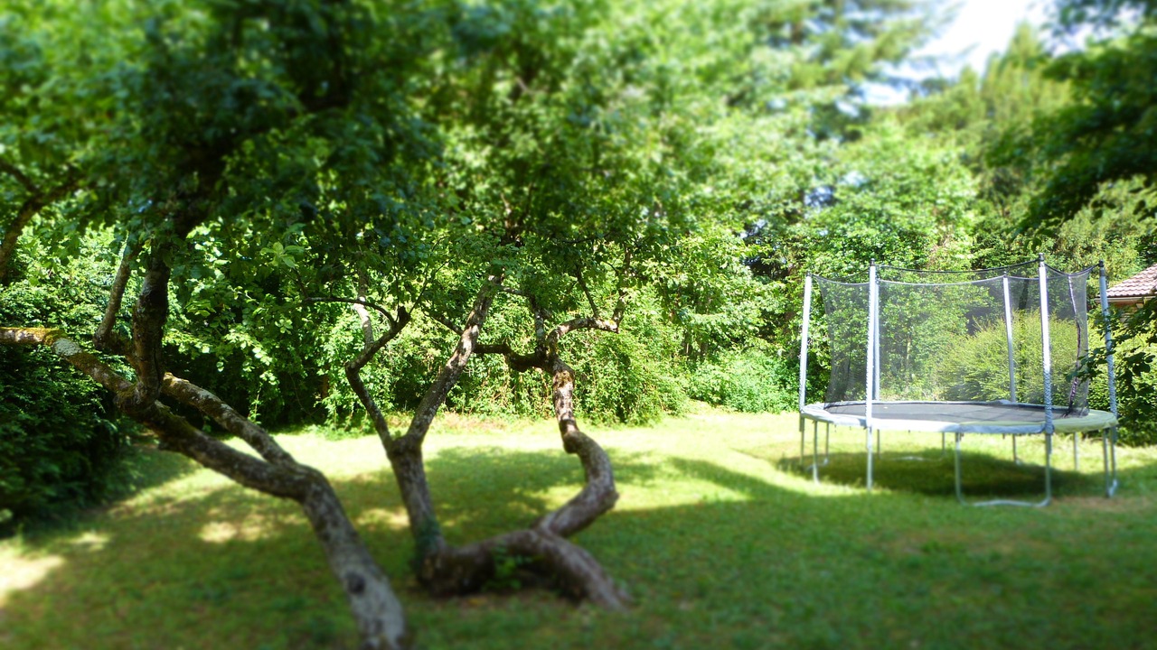 Photo of Outdoor in Savigny-les-Beaune