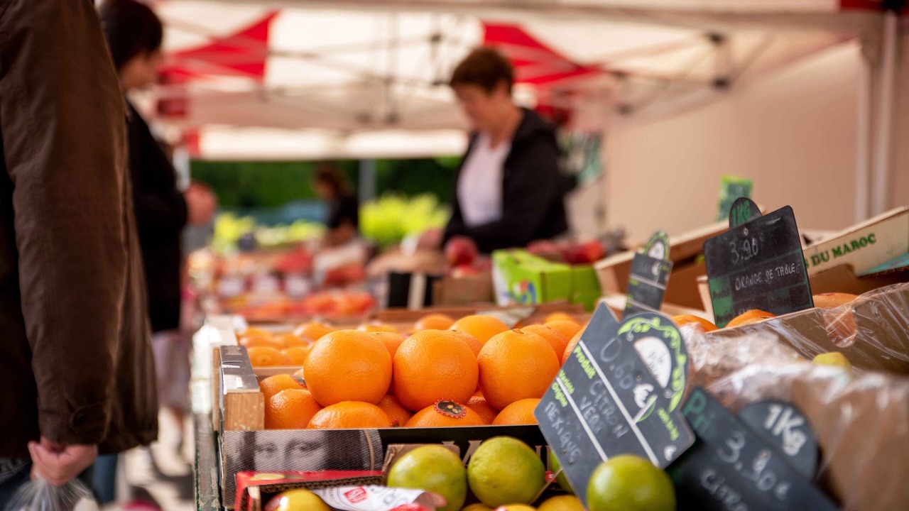 Photo of Others in Saint-Gregoire