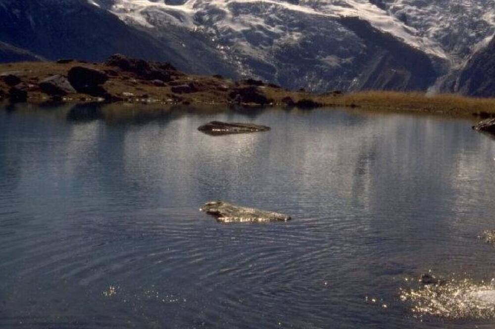 Photo of Others in Saas-Fee