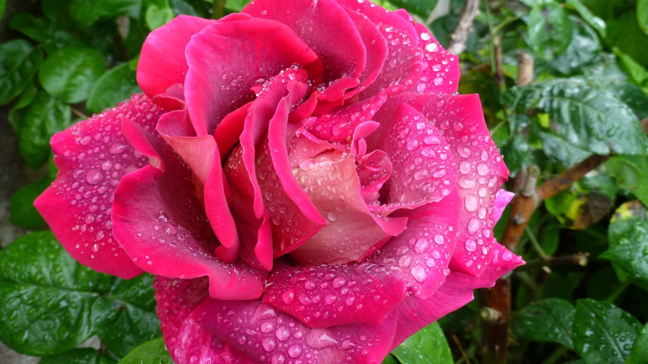 Photo of Outdoor in Fresville