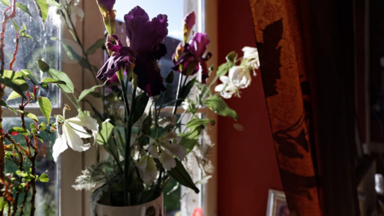 Photo of Others in Fresville