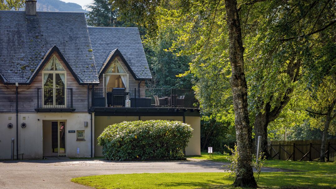 Photo of Outdoor in Kenmore