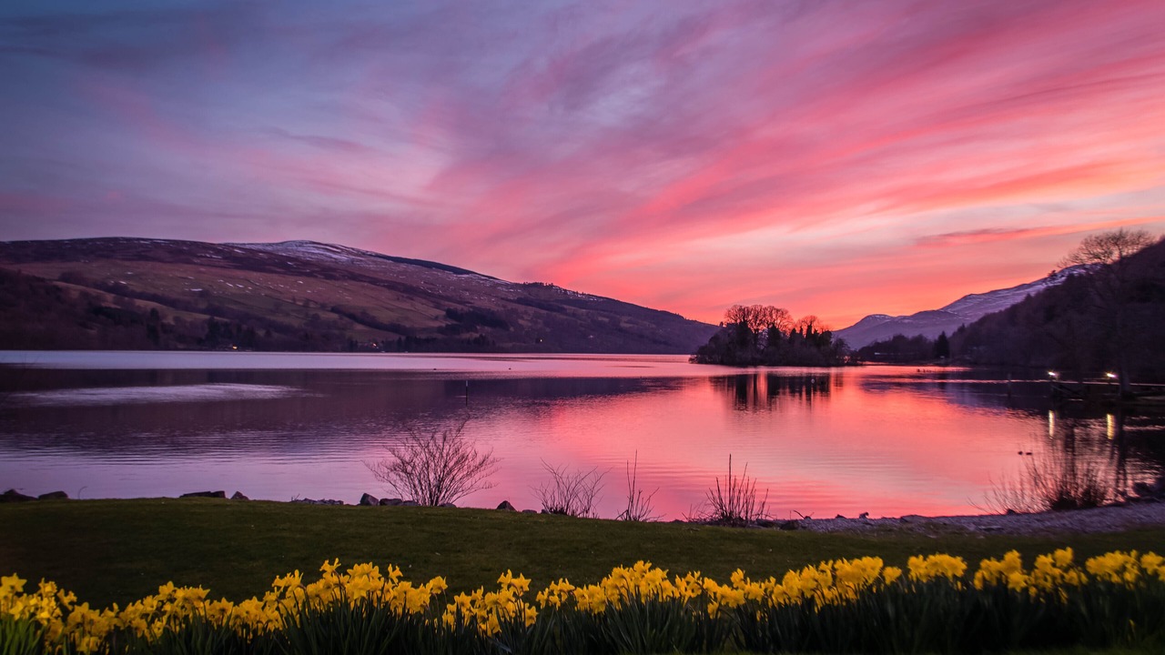 Photo of Others in Kenmore