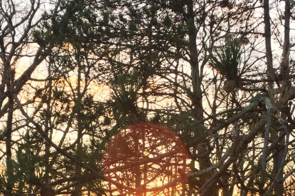 Photo of Outdoor in Monsac