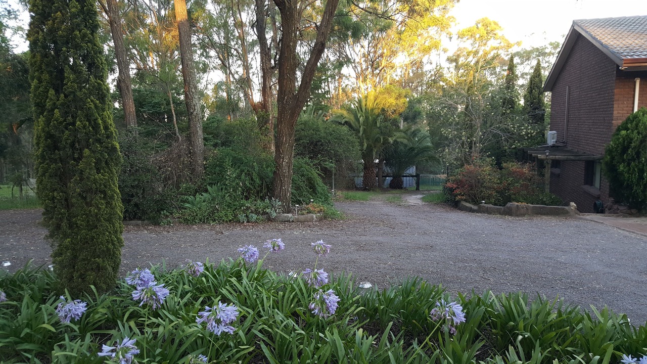 Photo of Outdoor in Singleton Shire Council