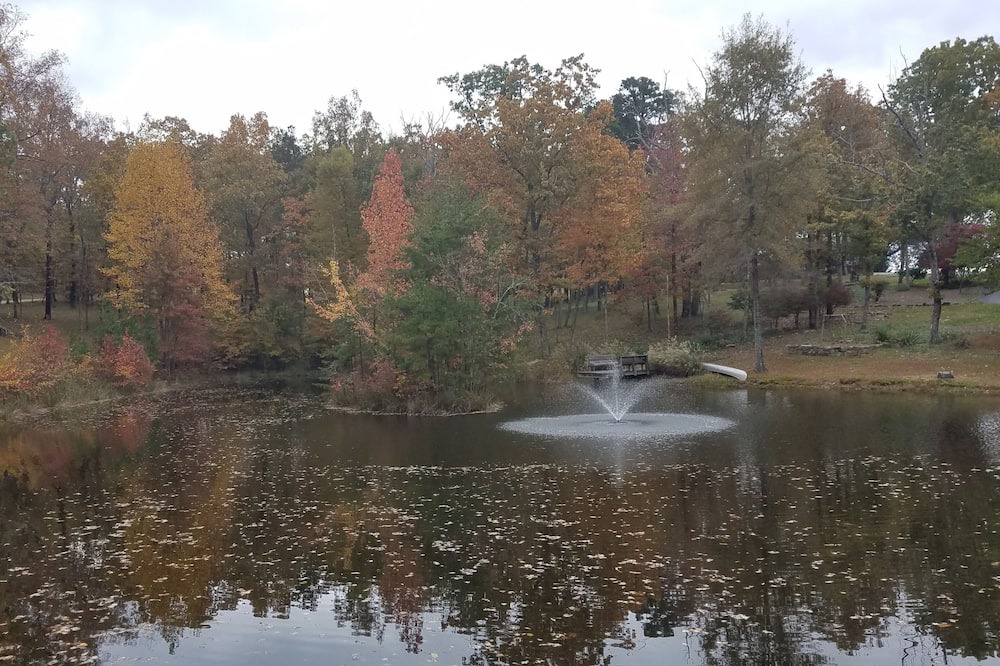 Photo of Others in Soddy-Daisy