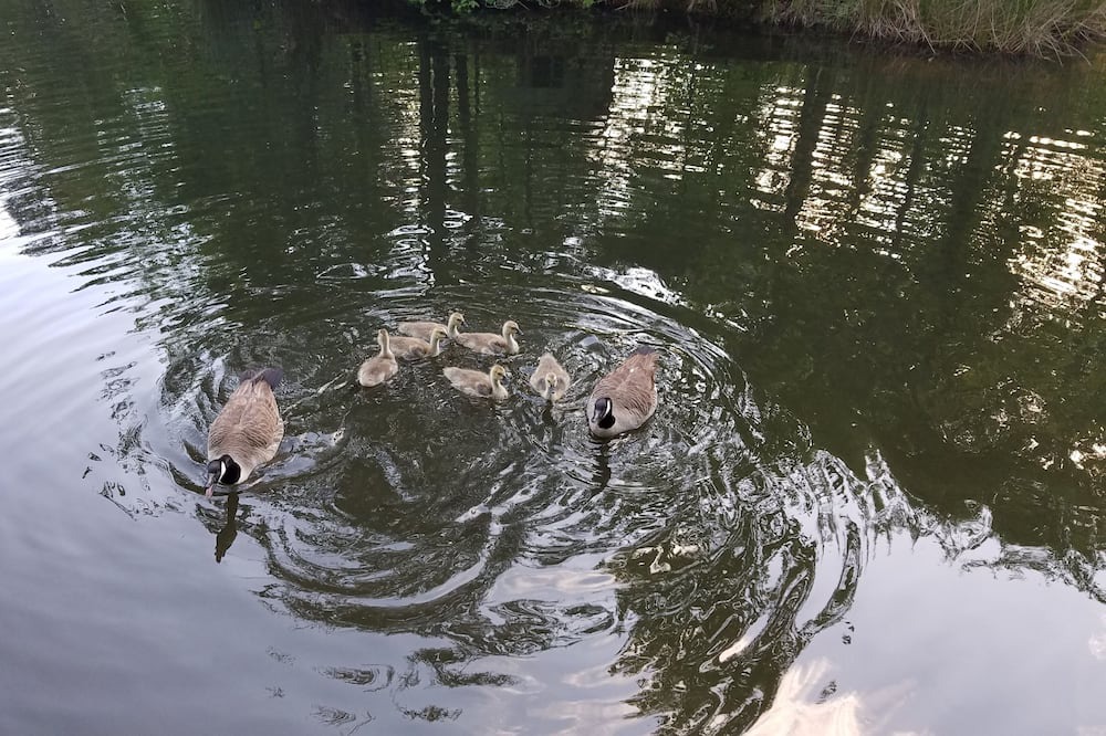 Photo of Others in Soddy-Daisy