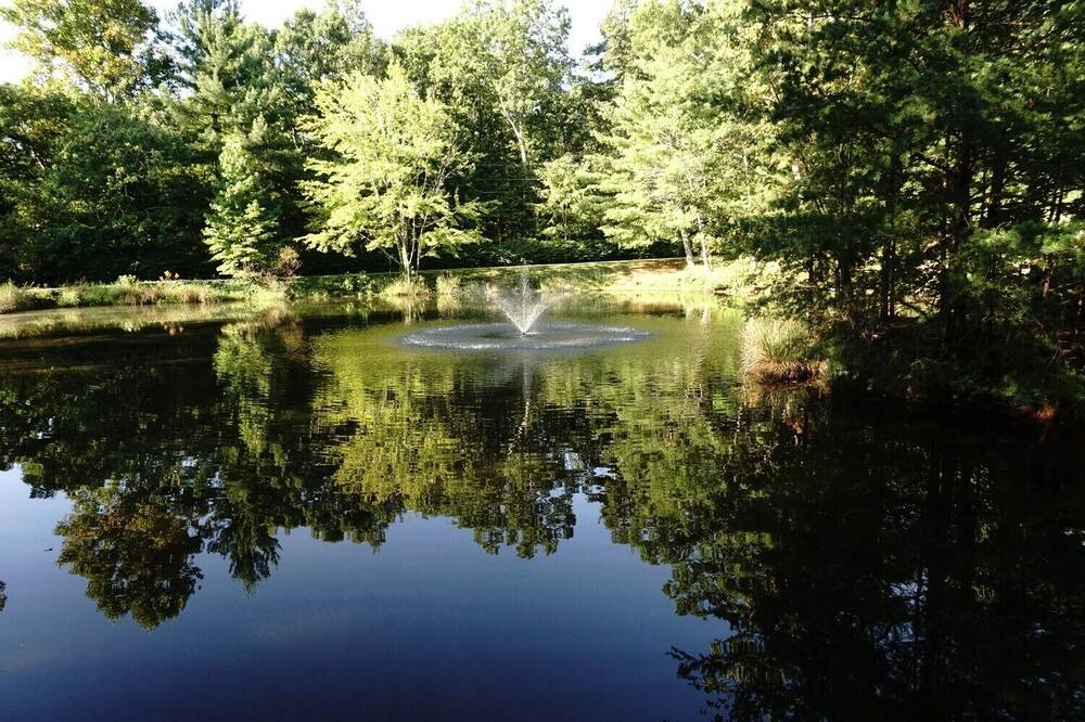 Photo of Others in Soddy-Daisy