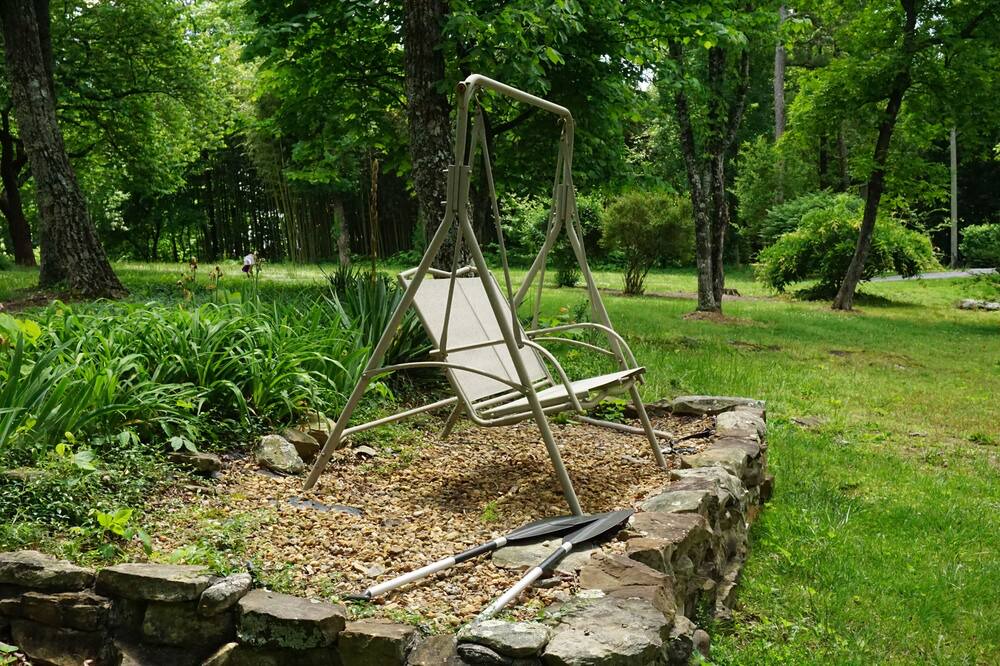 Photo of Others in Soddy-Daisy