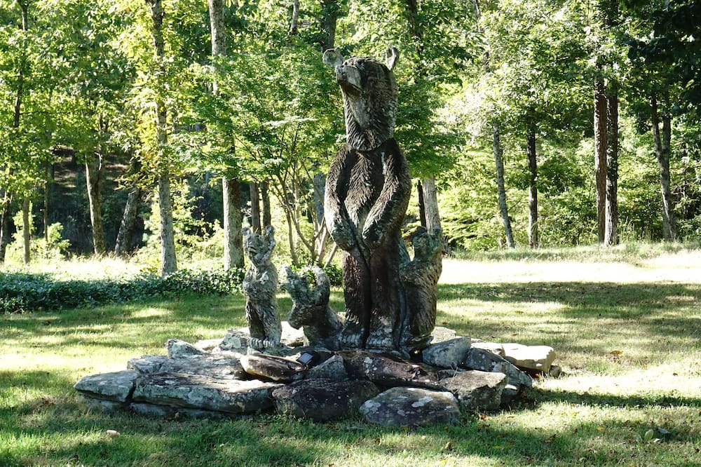 Photo of Others in Soddy-Daisy