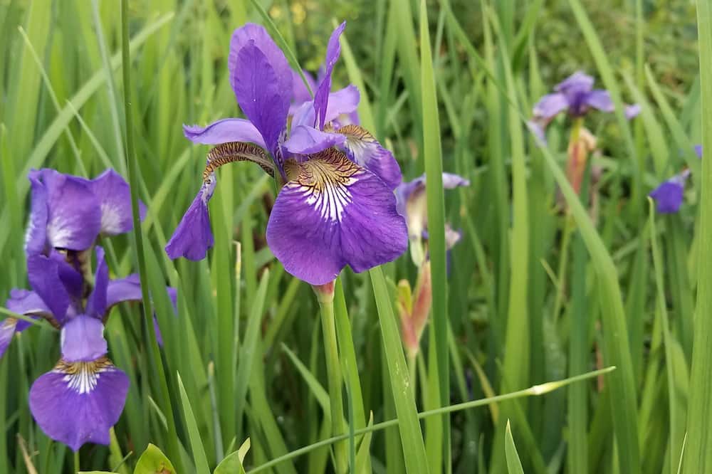 Photo of Outdoor in Soddy-Daisy