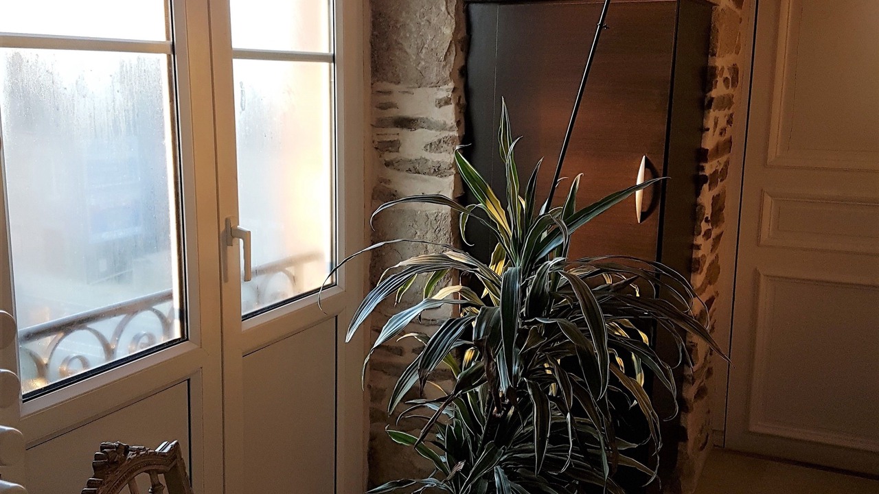 Photo of Others in Pleslin-Trigavou