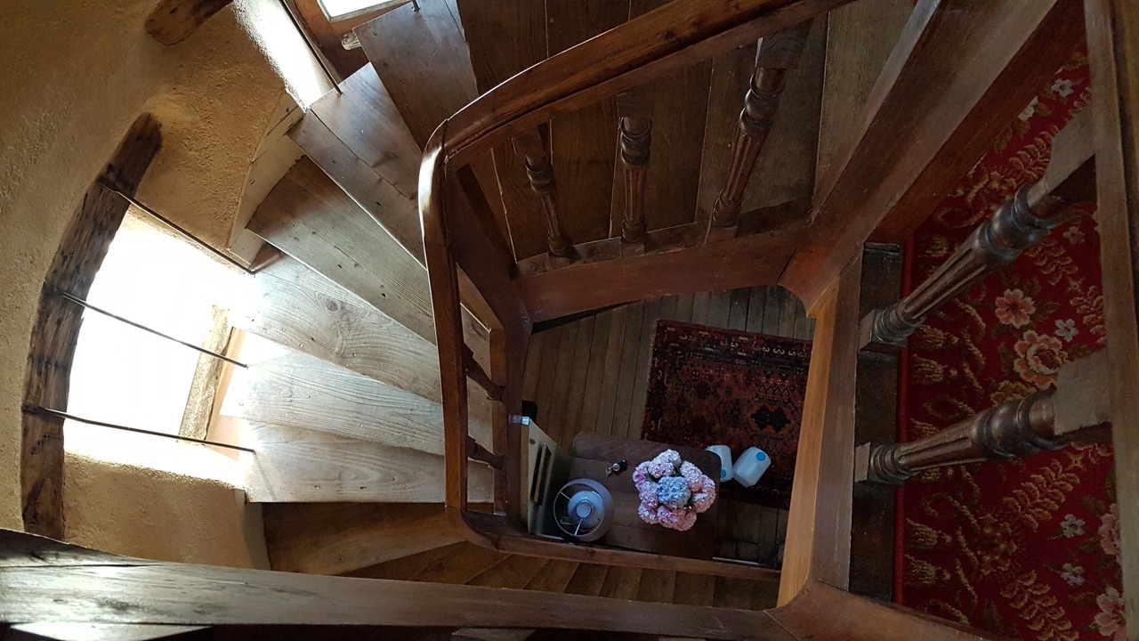 Photo of Others in Pleslin-Trigavou