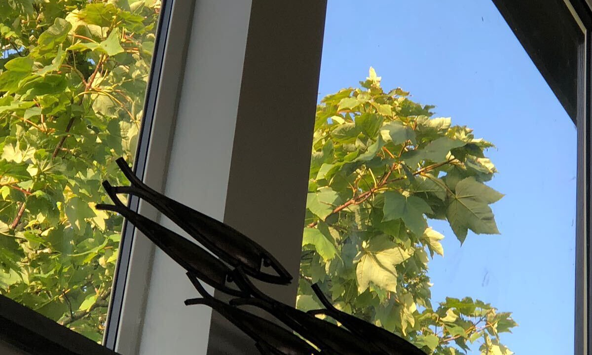 Photo of Others in Tintagel