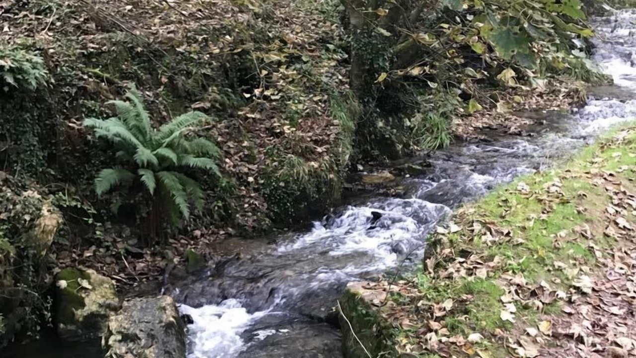 Photo of Outdoor in Tintagel