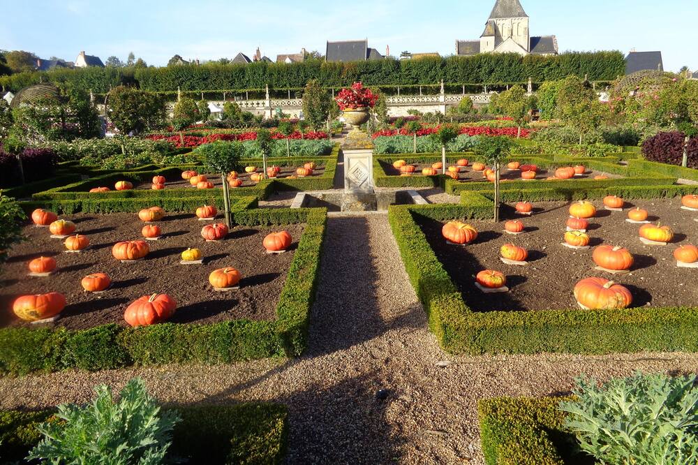 Photo of Outdoor in Chissay-en-Touraine