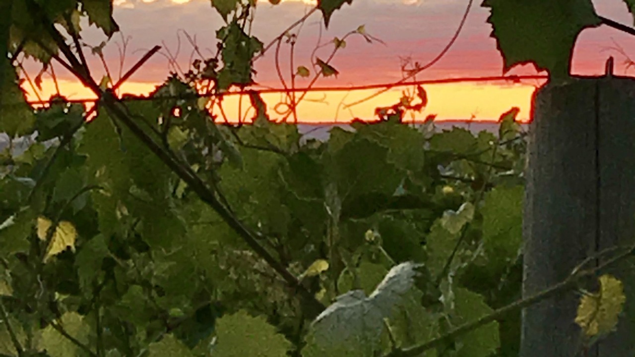 Photo of Outdoor in Ovid