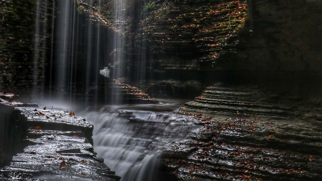 Photo of Others in Ovid