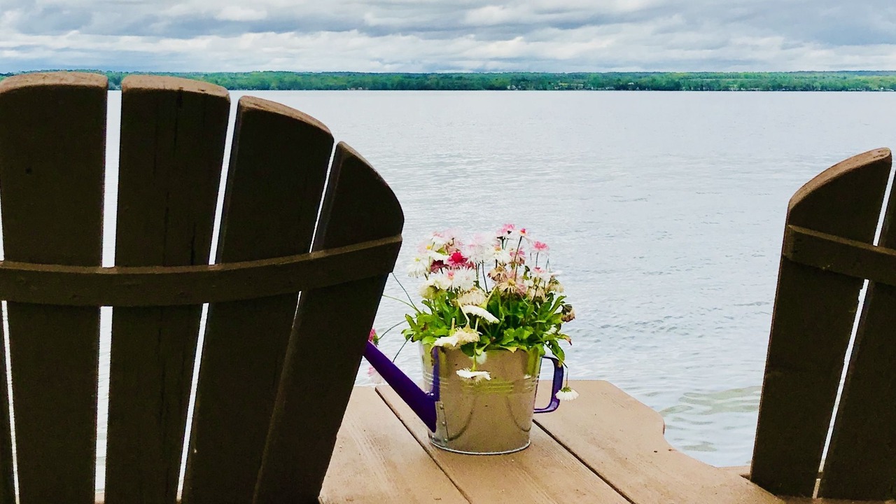 Photo of Others in Ovid