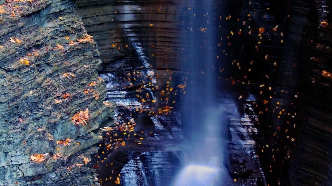 Photo of Others in Ovid