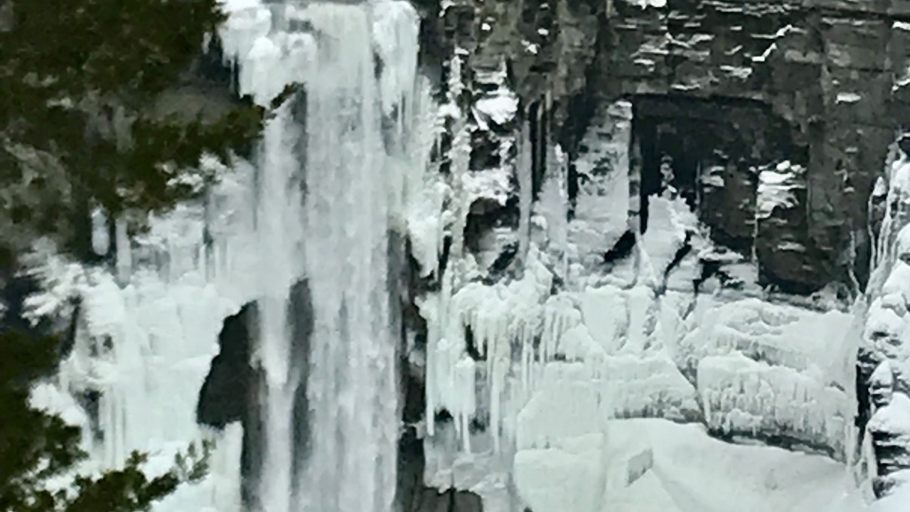 Photo of Others in Ovid