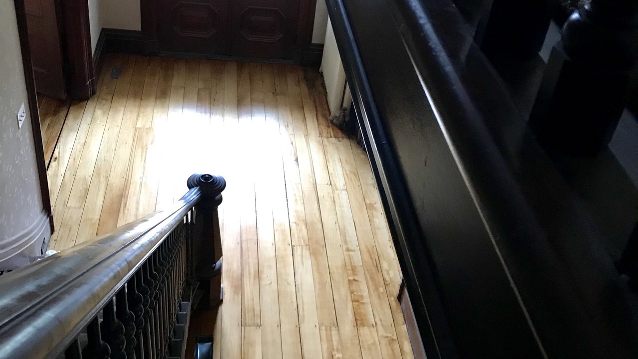 Photo of Others in Ovid