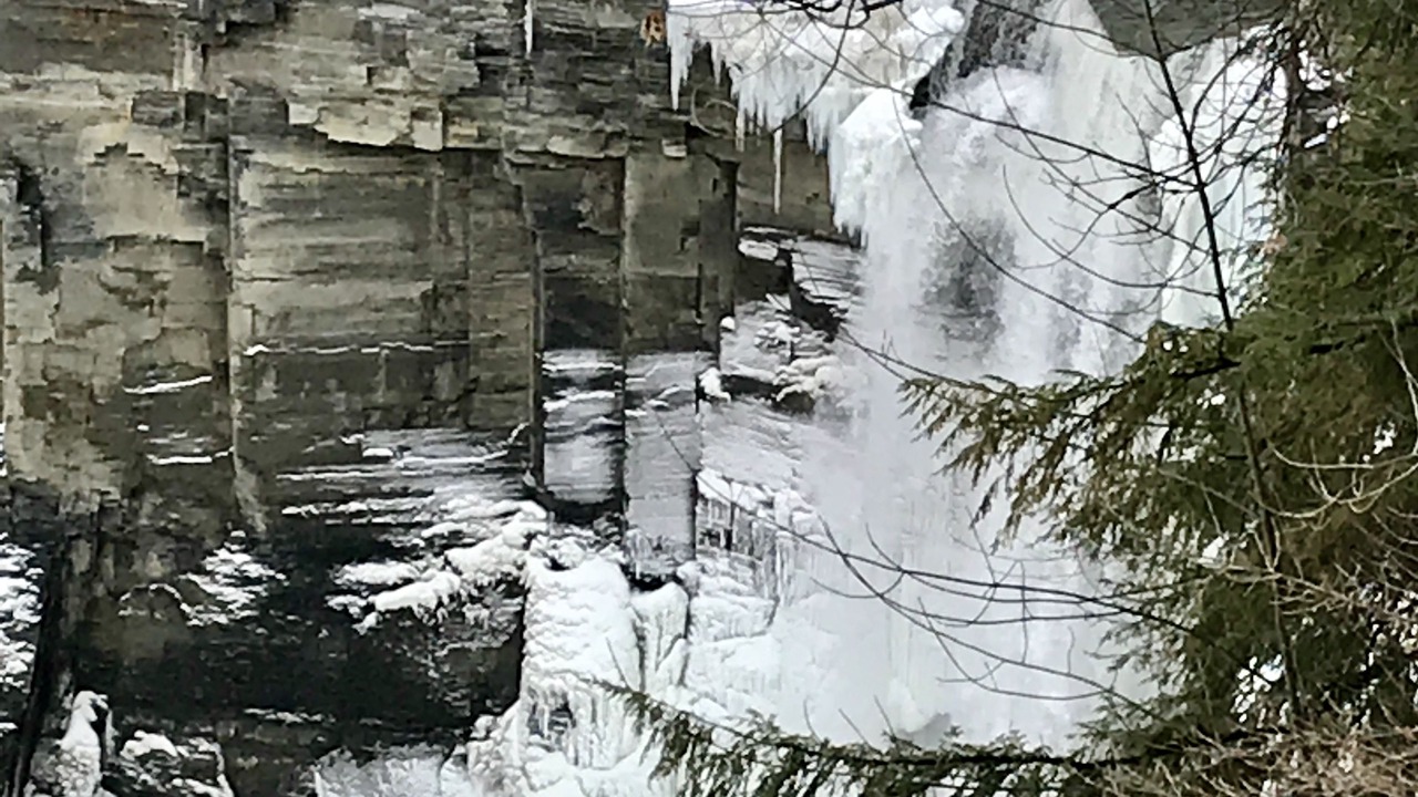 Photo of Others in Ovid