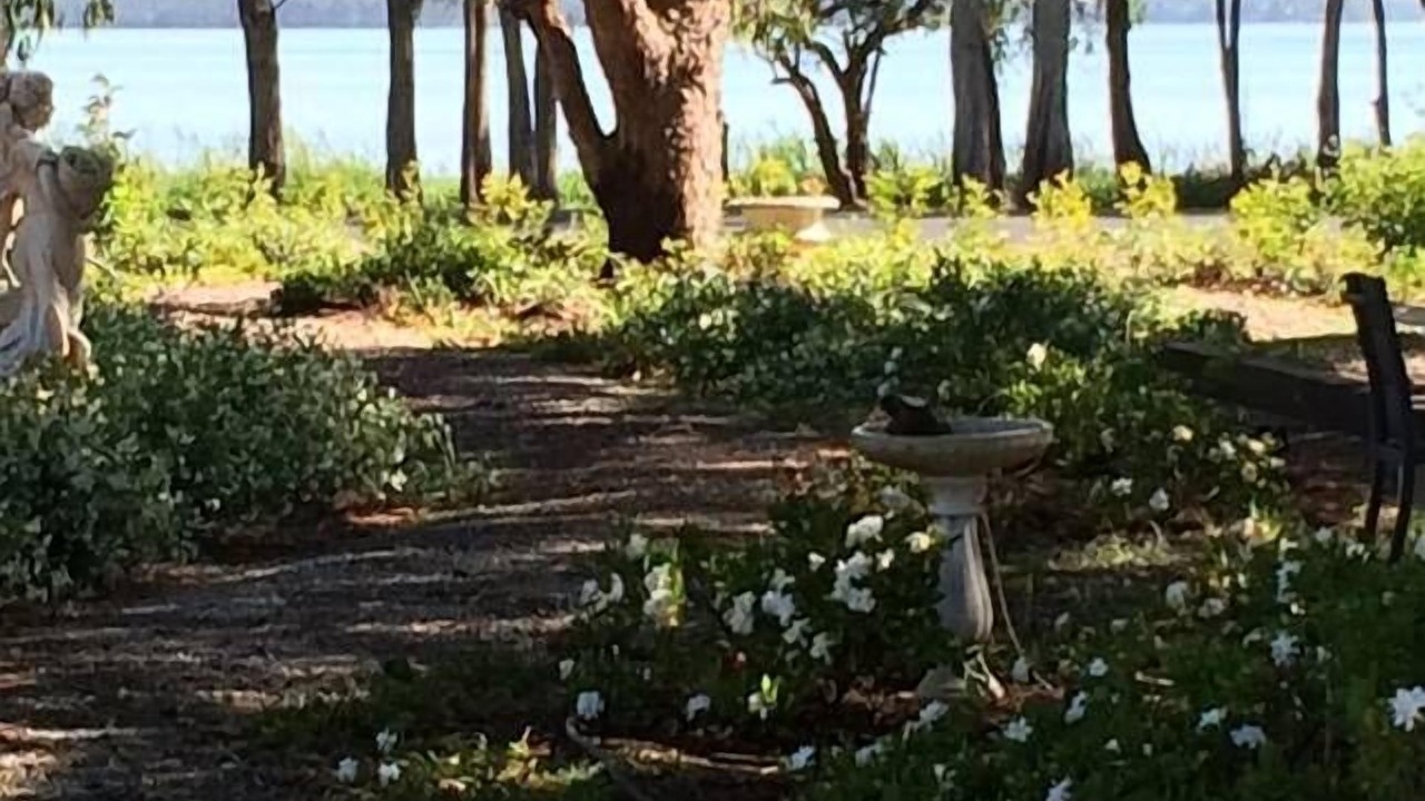 Photo of Outdoor in Chittaway Point