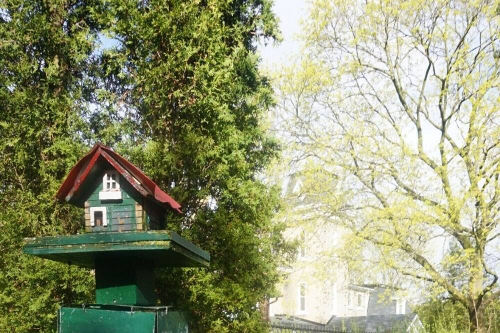 Photo of Outdoor in Stratford