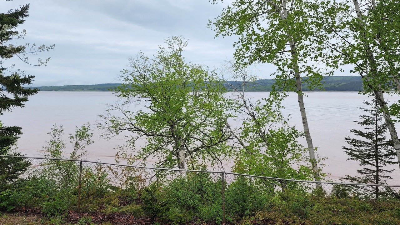 Photo of Others in Edgetts Landing