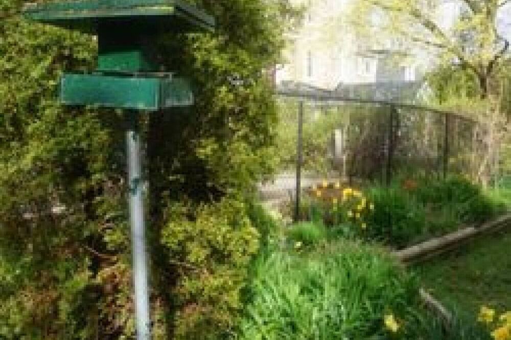 Photo of Outdoor in Stratford