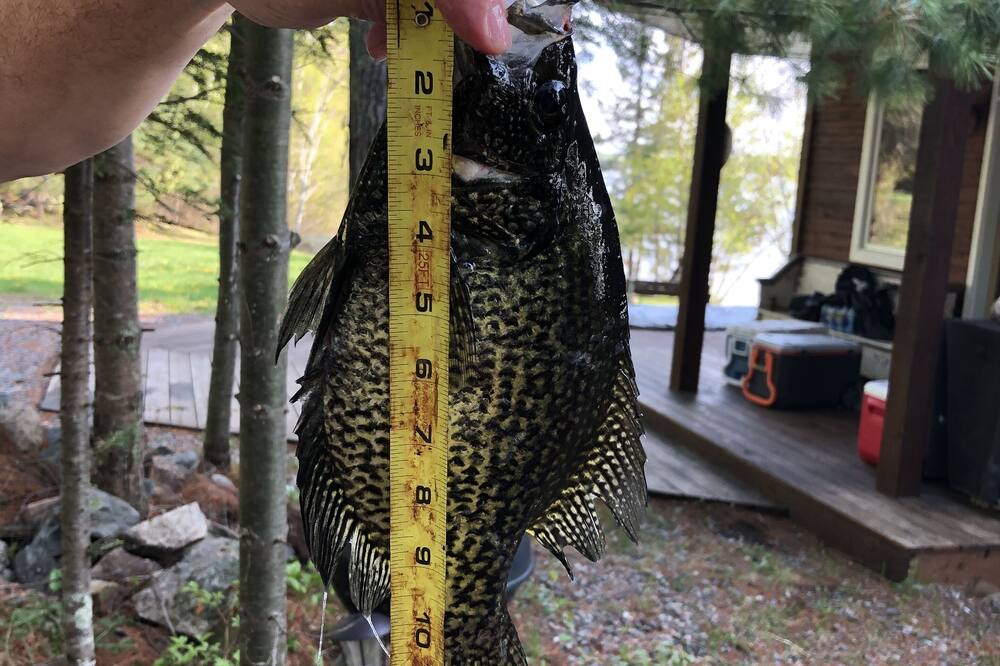 Photo of Outdoor in Sioux Narrows Nestor Falls