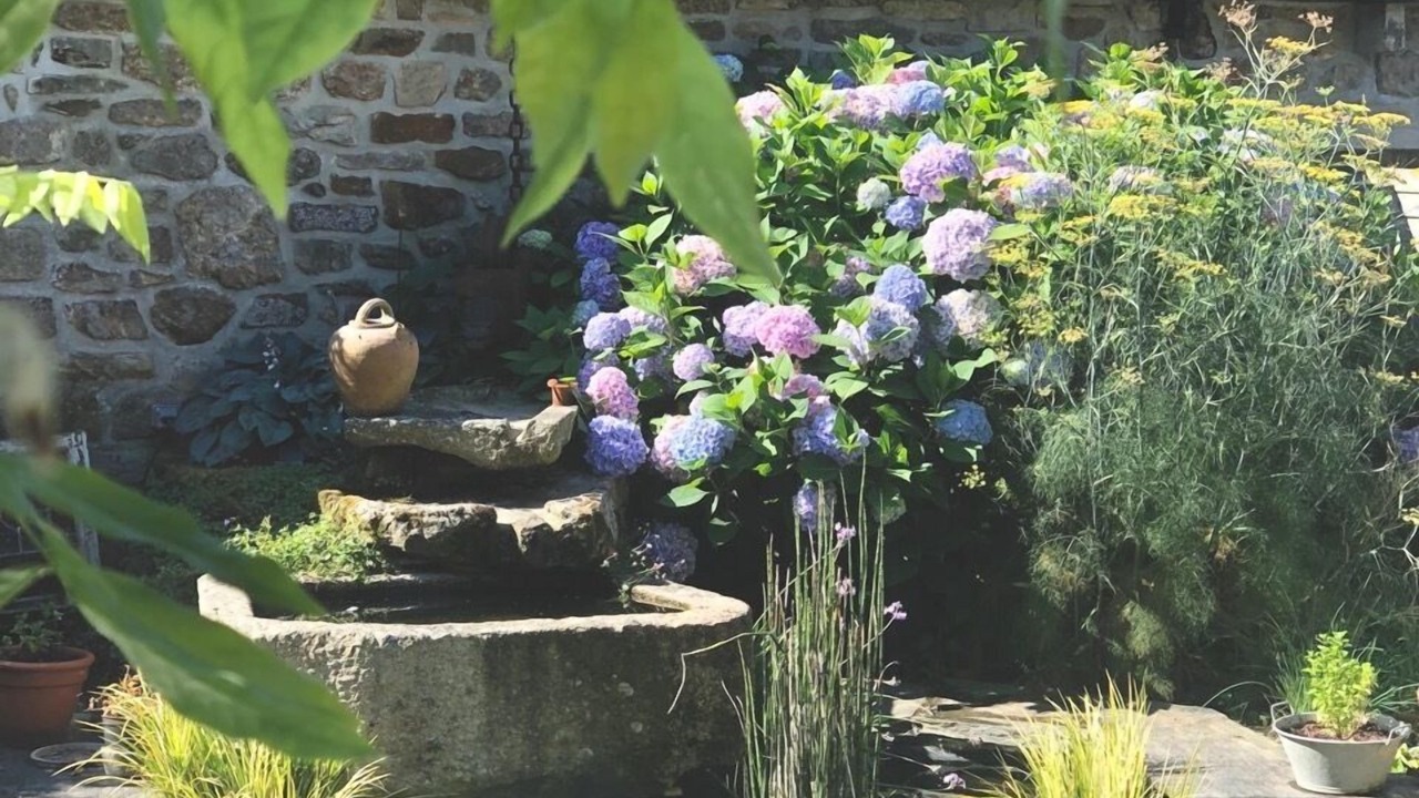 Photo of Outdoor in Plestan