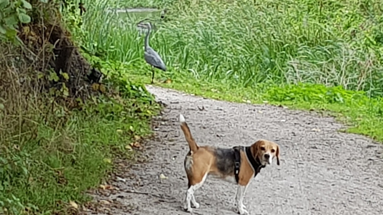 Photo of Outdoor in Giltbrook