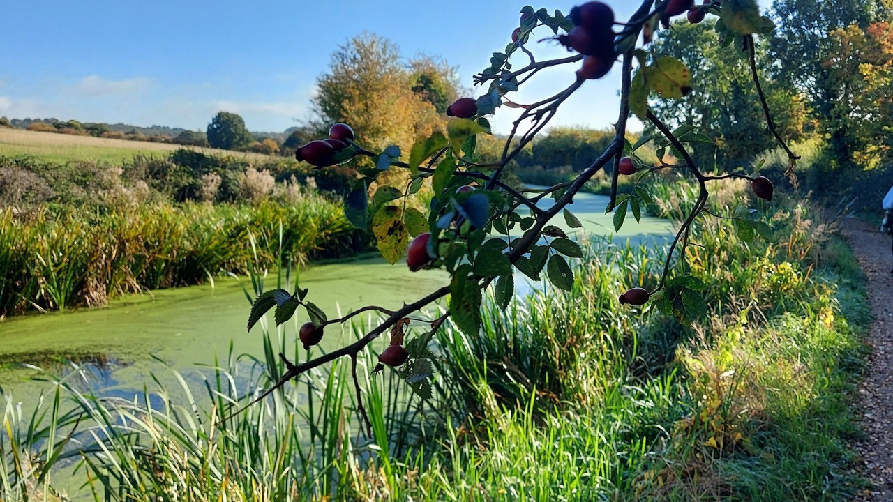 Photo of Outdoor in Giltbrook