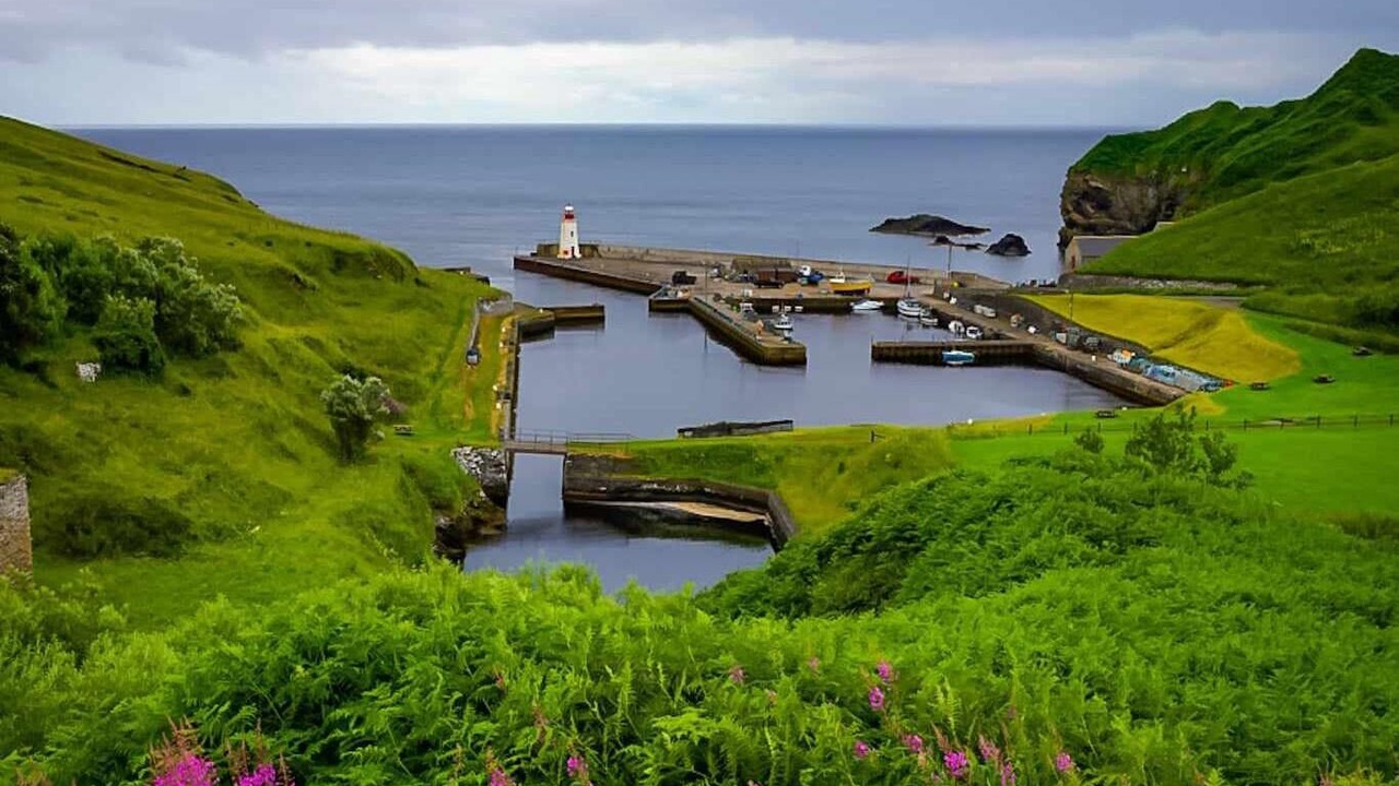 Photo of Others in Gills