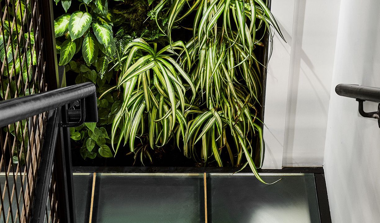 Photo of Others in Fishtown