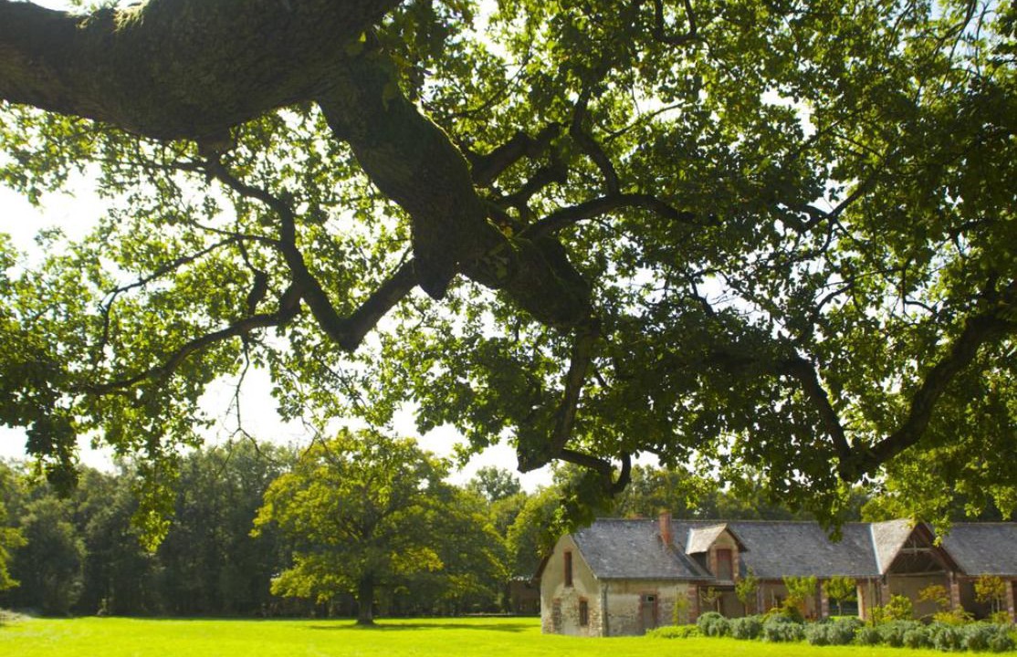 Photo of Outdoor in Saint-Georges-des-Sept-Voies